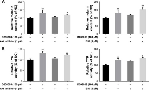 Figure 6 Effect of Akt and GSK-3β inhibitors on D206008-induced melanogenesis.