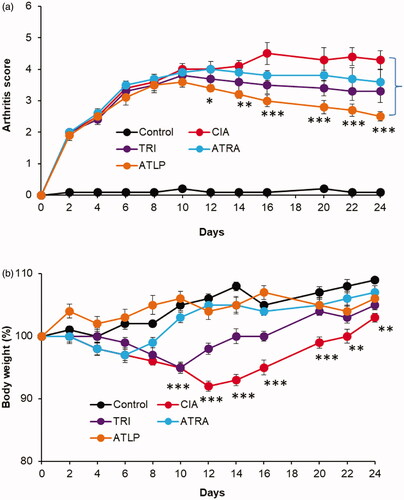 Figure 6. In vivo anti-arthritic efficacy of TRI, ATRA and ATLP in terms of (a) arthritic score, (b) body weight. The formulations were administered 3 days after the onset of CIA and injected via tail for totally 7 times with a gap of 3 days once.