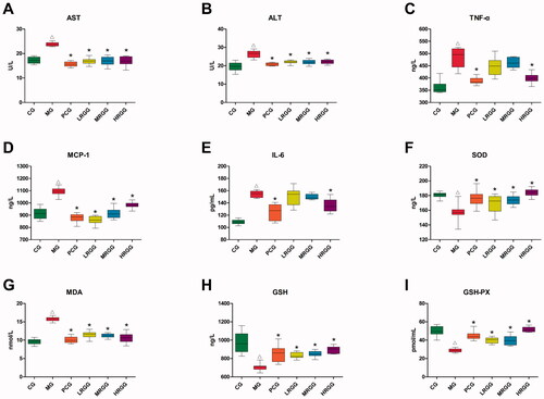 Figure 2. The contents of biochemical indexes in serum and liver of rats among diverse groups (n = 10): (A) Aspartate aminotransferase (AST) level; (B) alanine aminotransferase (ALT) level; (C) tumour necrosis factor-α (TNF-α) level; (D) monocyte chemoattractant protein-1 (MCP-1) level; (E) interleukin-6 (IL-6) level; (F) superoxide dismutase (SOD) level; (G) malondialdehyde (MDA) level; (H) glutathione (GSH) level; (I) glutathione peroxidase (GSH-PX) level. △p < 0.05 when compared with the CG group; *p < 0.05 when compared with the MG group.