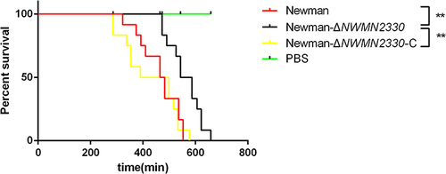 Figure 6 Determination of silkworms survival rate (N=12). PBS injection was used as a negative control. Statistical significance was determined by the Gehan-Breslow-Wilcoxon test, wild strain compared to deletion mutant strain and **Represents P<0.01.