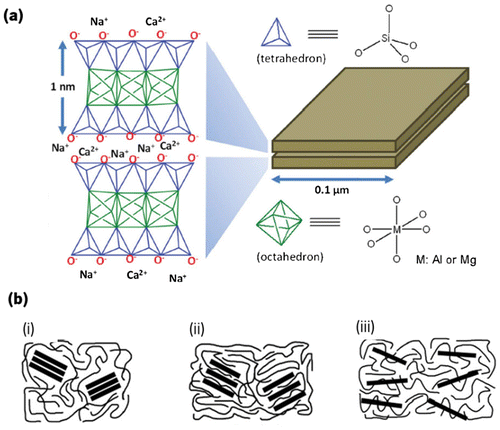 Figure 2. Representation of the basic units (a) Si-O tetrahedron and Al-O or Al-O octahedron present on the clay minerals [Citation43]. (b) Representation of the different structures resulted from different clay dispersion in the polymeric matrix. (i) Tactoid structures, (ii) intercalated structures and (iii) exfoliated structures [Citation39].