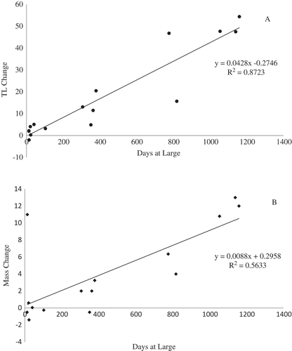 FIGURE 3. Growth in (A) total length (cm) and (B) mass (kg) relative to length of time at large for 11 recaptured Atlantic Sturgeon. Regression analysis showed significant (P < 0.001) positive growth in both variables.
