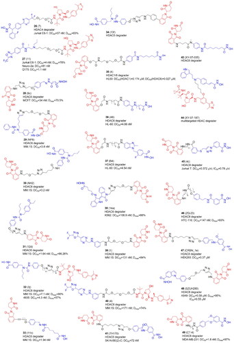 Figure 6. Structures and activities of PROTACs targeting HDAC4, HDAC6, and HDAC8.