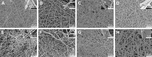 Figure 1 Surface morphology of nanofibrous scaffolds by SEM.Notes: GH (A and E), GH/A (B and F), GH/B (C and G), GH/A/B (D and H). Non-cross-linked (A–D) and cross-linked (E–H). Black arrow: scattered and aggregated nano-HA particles.Abbreviations: GH, gelatin/HA; HA, hydroxyapatite; SEM, scanning electron microscopy.