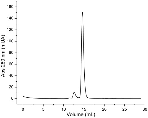 Figure 5. EhHK1 elution profile. The principal peak corresponds to a molecular weight of 53.8 kDa. The second peak represents less than 5% of total area under curve.