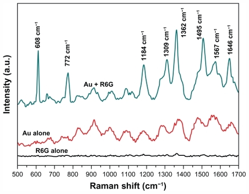 Figure 6 Raman spectra. 10 mM rhodamine 6G (R6G); Au; Au+R6G. Excitation wavelength of 633 nm and a power of 2 mW at the sample were used with a typical accumulation time of 10 seconds.