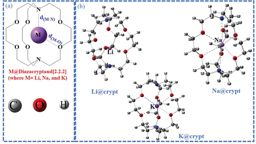 Figure 1. Representation of optimized labeled geometries (a) pure diazacryptand [2.2.2] and (b) M@crypt complexes using the ωB97×d/def2-tzvp level of theory.