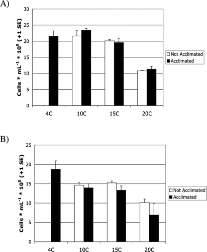 FIGURE 2 Mean cell counts (+1 SE) of growth after four weeks for Cr. rosae v. psychrophila strain CU 204 (A) and strain CU 479A (B) at different temperatures (°C). Closed bars denote cultures that were acclimated at each temperature; open bars denote cultures that were not acclimated.