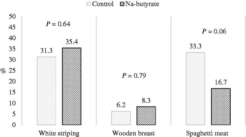 Figure 3. White striping, wooden breast, and spaghetti meat rates in the breasts of female chickens fed a control or Na-butyrate diet.