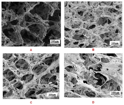 Figure 5 SEM images of nanocomposite scaffolds: A) PU–0% FHA; B) PU–5% FHA; C) PU–10% FHA; D) PU–20% FHA.Abbreviations: SEM, scanning electron microscopy; PU, polyster urethane; FHA, fluor-hydroxyapatite.