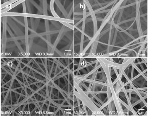 Figure 3. SEM morphology of the intermediate layer of the artificial blood vessel: gelatin (a), PLGA (b), PLGA–gelatin (c) and cro-PLGA–gelatin scaffolds (d).