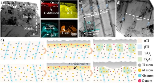 Figure 4. The influencing mechanism of original microstructure on oxidation resistance: (a) TEM image of the oxide scale/matrix interface on non-HAB zone after oxidation at 800°C for 24h6, (b) EDS elemental mappings for a, (c) original microstructure of HAB, (d) original microstructure of non-HAB zone and (e) schematic diagrams illustrating the Ti3Al precipitation process on HAB and non-HAB zone.