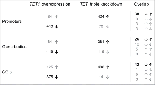 Figure 3. Reciprocal methylation changes of TET1 overexpression and TET triple knockdown. Shown are the distributions of the 500 top-ranked differentially methylated promoters, gene bodies, and CGIs toward hypo- (↓) and hyper-methylation (↑). In general, TET1 overexpression was associated with DNA hypomethylation while TET knockdown was associated with DNA hypermethylation (both in bold). Overlaps are shown in the right hand column.