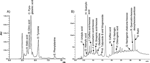 Figure 2. Chromatograms from liquid chromatography analyses of tomato vinegar: 10% MeOH (A) and 70% MeOH fraction (B). The detection wavelength was 215 nm.
