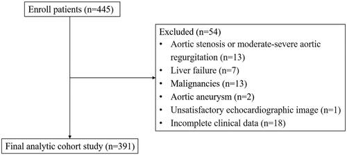 Figure 1. Flow chart of patient selection.