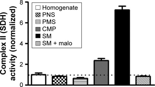 Figure 1 Isolation of purified synapse-specific mitochondrial fraction from rat brain cortices.