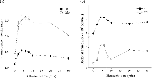 Figure 3. Effect of ultrasonication on green fluorescence intensity (a) and bacteria abundance (b) using two samples (Site 4# and Site 22#) from Lake Taihu (see Figure S1).