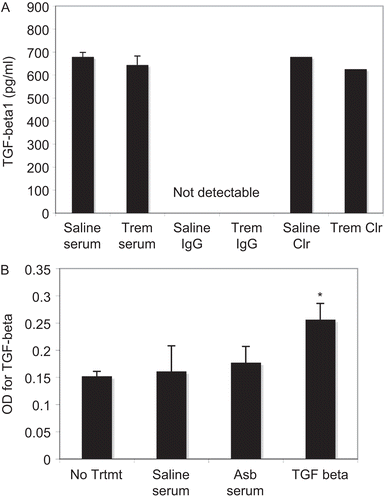 Figure 4.  ELISA for TGFβ in mouse serum and fibroblast culture supernatants. (A) Sera from saline- or asbestos-exposed mice were assayed for total TGFβ1 using an ELISA kit. N = 8 mice in each group. (B) Total TGFβ1 was also measured in supernatant samples from cultures of primary mouse lung fibroblasts exposed to serum from saline- and asbestos-exposed mice or to recombinant TGFβ at 4 ng/ml. N = 3, *P < 0.05 compared to No Treatment group.