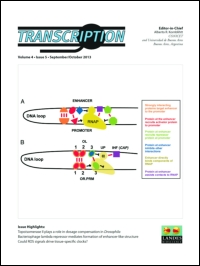 Cover image for Transcription, Volume 8, Issue 5, 2017