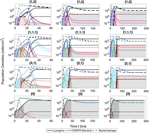 Figure A.5. Populations of bacteria with CRISPR/Cas systems (dash-dot lines), lysogens (solid lines) and phage (dash lines) during the separate phase therapeutic procedure. The simulation times are t=60 h (Ip=5 and Cp=15), 180 h (Ip=15 andCp=45) and 300 h (Ip=25 and Cp=75). The lysogens are inserted into the biofilm with up to three prophages either simultaneously or successively. The possible sequences of the number of prophages harboured in the lysogens are {1,2},{1,1,1},{2,1} and {3}, as described in the text.