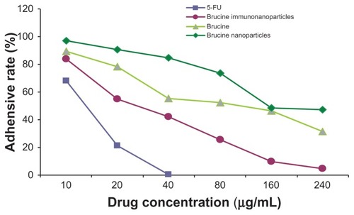 Figure 8 The matrix adhesive rate of the brucine immuno-nanoparticles on liver cancer cells. Compared with brucine and brucine nanoparticles, brucine immuno-nanoparticles had the strongest inhibition effects on liver cancer cell matrix adhesion for 72 hours.