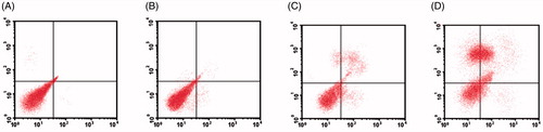 Figure 10. Quantitative apoptotic measurement in MCF-7 cells with treatment of control, DADS, DADS-SLN, and Blank-SLN. (A) Control (B) Blank-SLN (C) DADS (D) DADS-SLN. Results of dose-dependent apoptosis are expressed as plot of Annexin V-FITC versus PI, and representative values are shown.