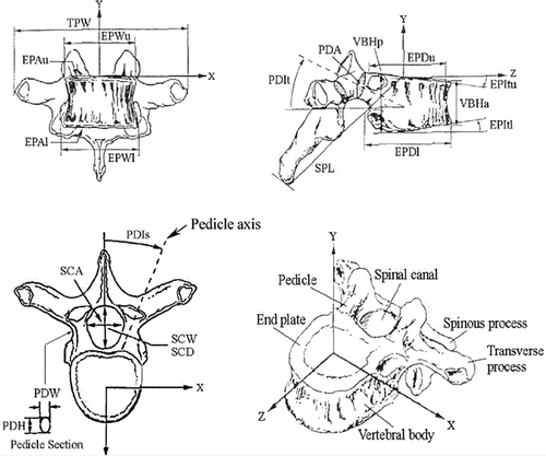 Figure 1. Parameters considered from the standard database (Tan et al., Citation2004 ).