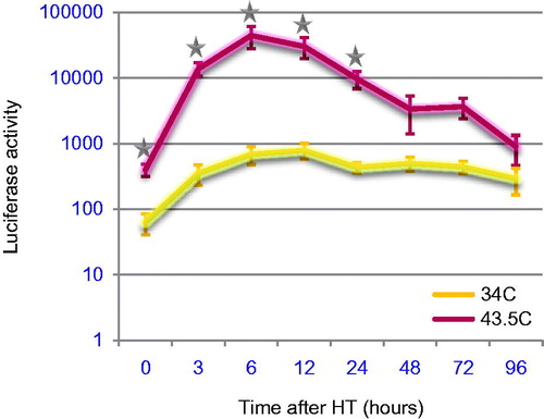 Figure 5. Hyperthermia induced upregulation of HIF-1 in tumours. 4T1 mouse mammary tumours were grown in the flanks of mice. The tumour-bearing leg was heated at 34 °C or 42 °C for 1 h. HIF-1 expression was assessed by a luciferase reporter gene at various time points post-treatment. Luciferase activity was normalised to tumour volume at the time of treatment. Data points represent mean ± sem; n = 4–8/group. *p < 0.01. (Data re-plotted from Moon et al. [Citation76].) HT, hyperthermia.