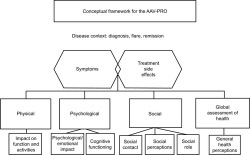 Figure 2 Conceptual framework for the AAV-PRO.