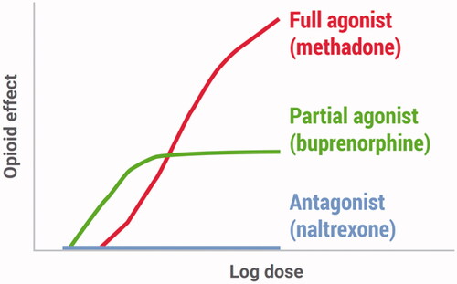 Figure 4. Mu opioid receptor activities of medications used for opioid use disorder. (Only the extended-release formulation of naltrexone is approved for for opioid use disorder (specifically for prevention of relapse to opioid dependence)). Figure taken with permission from the authors’ public domain document “A Guide for Primary Care Providers”, San Francisco Department of Public Health, accessed at www.ciaosf.org on 30 November 2021.