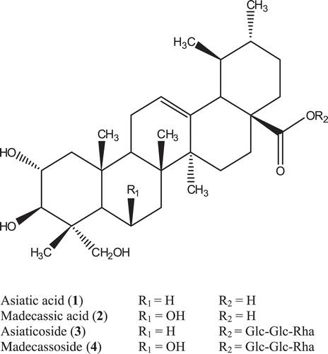 Figure 1.  Chemical structures of four pentacyclic triterpenes from C. asiatica.