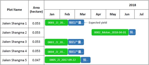 Figure 9. Gantt chart display of melon planting. Information regarding the name of the plot, the area, the crop and the expected yield are presented during the year.
