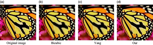 Figure 9. Comparison of the reconstructed images of various methods for Butterfly image (a) Original image (b) Bicubic (c) Yang (d) Our.