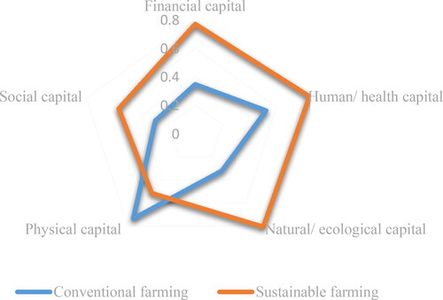 Figure 1. Different capital stocks of conventional and sustainable farmers.