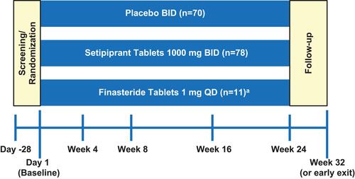 Figure 1 Study design (mITT population). The hair growth measures (TAHC, SSA, and IGA) were assessed at weeks 8, 16, 24, and 32 (or early study exit); adverse events were assessed at every study visit. Prespecified study visits are marked by blue vertical lines. aA once-daily finasteride 1-mg arm was initially included in the study design but was removed to increase enrollment in the other arms.