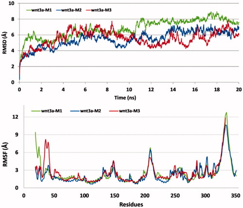 Figure 6. RMSD and RMSF analysis of three Wnt3a protein homology models (Wnt3a-M1: Wnt3a homology model with five disulfide bonds; Wnt3a-M2: Wnt3a homology model with nine disulfide bonds; Wnt3a-M3: Wnt3a homology model with 12 disulfide bonds). Average RMSDs for Wnt3a-M1, Wnt3a-M2 and Wnt3a-M3 are 6.8, 5.4 and 5.5 Å, respectively.