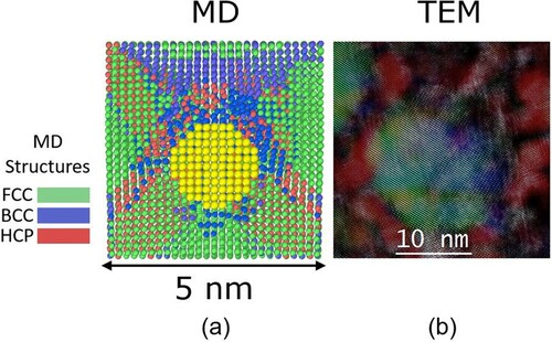 Figure 5. Comparison of MD (a), and STEM (b). The image in panel (a) shows a precipitate (in yellow) of 2 nm diameter after 6% applied strain and the matrix structure around it (fcc in green, bcc in blue and hcp in red). The STEM image in (b) shows an overlay of a high-angle anuular dark field image and RGB composites of inverse Fourier transforms of diffractograms obtained from L12 precipitates (green) and the matrix structures around it, where the fcc areas are in blue and bcc in red showing the result of the phase transformation induced by 6.8% strain.
