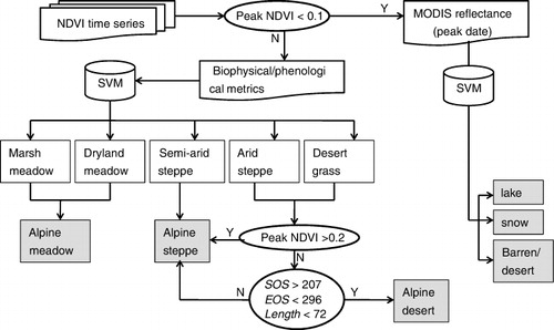 Figure 3. Flowchart of the multistep classification process.