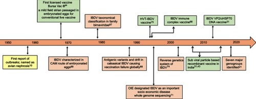 Figure 3 An overview of 60 years of infectious bursal disease (IBD) research.Abbreviations: IBDV, Infectious bursal disease virus; HVT, Herpesvirus of Turkey; VP2, virus protein 2; cHSP70, C-terminal domain of heat shock protein 70 of Mycobacterium tuberculosis; CAM, Chorioallantoic membrane; OIE, Office International des Épizooties [World Organisation for Animal Health].