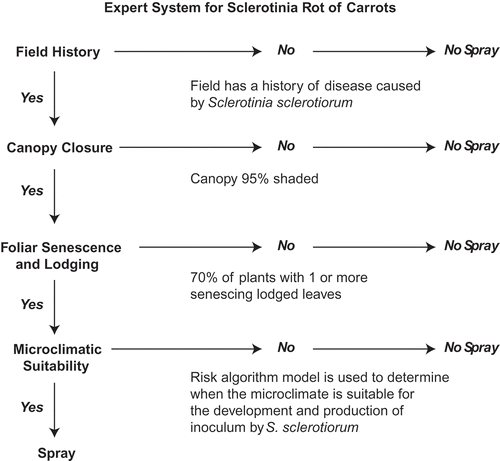 Fig. 3. Diagram of an expert system prototype based on field history, host and weather proposed to predict outbreaks of Sclerotinia rot of carrot and advise growers in making disease management decisions. This diagram depicts the sequential order of satisfying the critical thresholds of risk factors for disease initiation, and respective actions (spray or no spray) for each outcome (yes or no).
