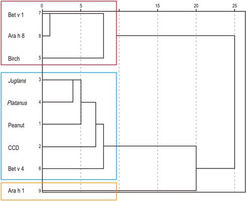 Figure 4 Hierarchical cluster of peanut allergens, pollen allergens, and CCD.