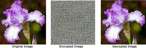 Figure 13. Original, encrypted, and decrypted Iris image.