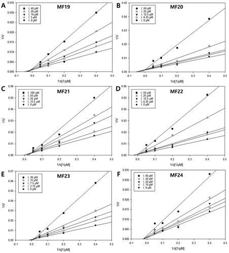 Figure 3. Enzyme kinetics analysis. (A–F) Lineweaver–Burk plots of compounds 19–24, respectively.