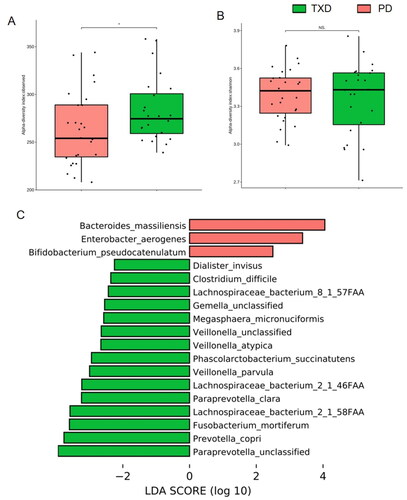 Figure 5. Effects of TXD on gut dysbiosis in PD patients. (A) richness index of gut microbiota. (B) Shannon index of gut microbiota. (C) LEfSe plot showing specific bacteria. TXD: Tiaopi Xiezhuo decoction; PD: peritoneal dialysis patient group; TXD: the group treated by TXD. * p < 0.05; NS: non-significance.