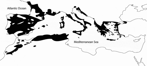 Figure 2. Map of the current distributional range of holm oak (Quercus ilex) in the Mediterranean Basin.