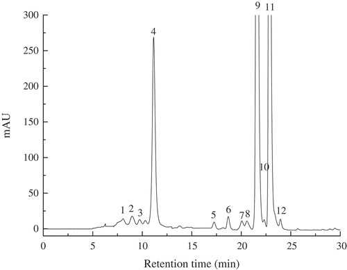 Figure 1. HPLC chromatograms of carotenoids in fresh pumpkin pulp. The following peaks were identified: 1. neoxanthin, 2. neochrome, 3. violaxanthin, 4. all-trans-lutein, 5. α-cryptoxanthin, 6. β-cryptoxanthin, 7. 15-cis-β-carotene 8. 13-cis-β-carotene, 9. all-trans-α-carotene, 10. 9-cis-α-carotene, 11. all-trans-β-carotene, 12. 9-β-carotene.