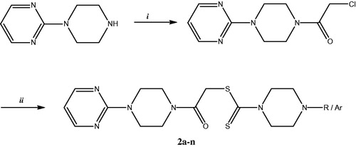 Figure 3. Synthesis of the compounds 2a-n. Reactants, reagents and conditions: i: ClCOCH2Cl, Et3N, THF, 0–5 °C, 3 h; ii: Potassium/Sodium salts of substituted piperazine dithiocarbamates, K2CO3, acetone, r.t, 5 h.