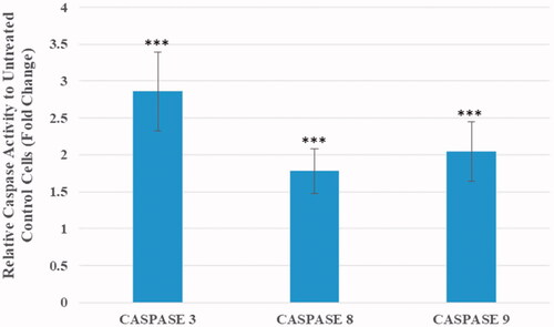 Figure 7. Caspase activity measurements in MCF-7 cells after 24 h of incubation with AgClNP at a medium dose (44 μg/mL). Data are normalized to the untreated cells and reported as mean ± SD. Asterisks (*) indicate a significant difference with the control group (***p < .001).