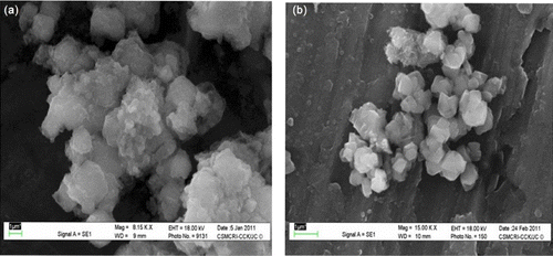 Figure 1. SEM images of [Ni(SFCH)·3H2O]-Y (a) before and (b) after Soxhlet extraction.