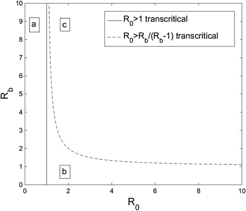 Figure 2. The R0-Rb parameter space broken into three regions by the transcritical bifurcation curves for system (Equation5(5) I˙=βh(A)(1−I)I−γIA˙=αI(1−A)A−ξA.(5) ). In region (a) The DFE is the sole biologically relevant fixed point, and it is globally stable. In (b) (Equation7(7) (I,A)=(0,0),(7) ) and (Equation8(8) (I,A)=(1−1R0,0)when R0>1,(8) ) exist in Ω, with (Equation8(8) (I,A)=(1−1R0,0)when R0>1,(8) ) globally stable. In region (c) all three fixed points are present in Ω, and point (Equation9(9) (I,A)=(I∗,A∗)when R0≥RbRb−1≥0.(9) ) is globally asymptotically stable. Figure generated in MATLAB.